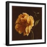 Floral Symposium II-Julianne Marcoux-Framed Art Print