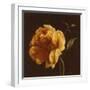 Floral Symposium II-Julianne Marcoux-Framed Art Print