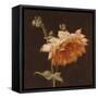 Floral Symposium III-Julianne Marcoux-Framed Stretched Canvas