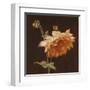 Floral Symposium III-Julianne Marcoux-Framed Art Print