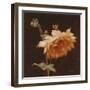 Floral Symposium III-Julianne Marcoux-Framed Art Print