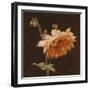 Floral Symposium III-Julianne Marcoux-Framed Art Print