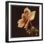 Floral Symposium IV-Julianne Marcoux-Framed Art Print