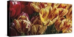 Floral Tapestry-Janel Pahl-Stretched Canvas