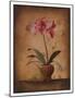 Floral Textures I-Wilbur-Mounted Art Print
