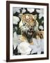 Floral Tiger-Diane Stimson-Framed Art Print