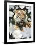 Floral Tiger-Diane Stimson-Framed Art Print