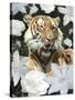 Floral Tiger-Diane Stimson-Stretched Canvas