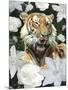 Floral Tiger-Diane Stimson-Mounted Art Print