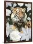 Floral Tiger-Diane Stimson-Framed Art Print