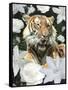 Floral Tiger-Diane Stimson-Framed Stretched Canvas