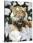 Floral Tiger-Diane Stimson-Stretched Canvas
