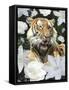 Floral Tiger-Diane Stimson-Framed Stretched Canvas