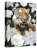 Floral Tiger-Diane Stimson-Stretched Canvas