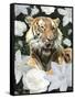 Floral Tiger-Diane Stimson-Framed Stretched Canvas