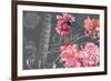 Floral Travel Pisa-null-Framed Giclee Print