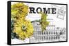 Floral Travel Rome-null-Framed Stretched Canvas