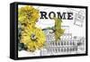 Floral Travel Rome-null-Framed Stretched Canvas