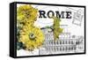 Floral Travel Rome-null-Framed Stretched Canvas