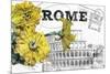 Floral Travel Rome-null-Mounted Giclee Print