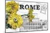 Floral Travel Rome-null-Mounted Premium Giclee Print