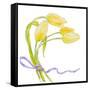 Floral V-Linda Baliko-Framed Stretched Canvas