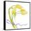 Floral V-Linda Baliko-Framed Stretched Canvas
