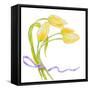 Floral V-Linda Baliko-Framed Stretched Canvas