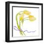 Floral V-Linda Baliko-Framed Art Print