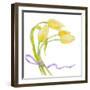 Floral V-Linda Baliko-Framed Art Print