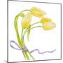 Floral V-Linda Baliko-Mounted Premium Giclee Print