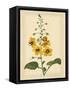 Floral Varieties I-Samuel Curtis-Framed Stretched Canvas