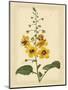 Floral Varieties I-Samuel Curtis-Mounted Art Print