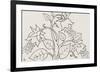 Floral Vignette-Leo Gestel-Framed Giclee Print