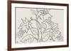 Floral Vignette-Leo Gestel-Framed Giclee Print