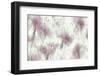 Floral wallpaper-Nel Talen-Framed Photographic Print