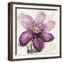 Floral Wash II-Tania Bello-Framed Giclee Print