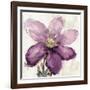 Floral Wash II-Tania Bello-Framed Giclee Print