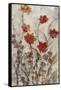 Floral Wash II-Tim OToole-Framed Stretched Canvas