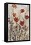 Floral Wash II-Tim OToole-Framed Stretched Canvas