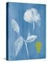 Floral Whisper I-Lanie Loreth-Stretched Canvas