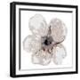 Floral-White 2-Victoria Brown-Framed Art Print