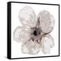Floral-White 2-Victoria Brown-Framed Stretched Canvas