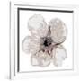 Floral-White 2-Victoria Brown-Framed Art Print