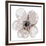 Floral-White 2-Victoria Brown-Framed Art Print