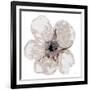 Floral-White 2-Victoria Brown-Framed Art Print