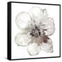 Floral-White-Victoria Brown-Framed Stretched Canvas