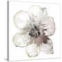 Floral-White-Victoria Brown-Stretched Canvas