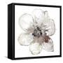 Floral-White-Victoria Brown-Framed Stretched Canvas