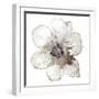 Floral-White-Victoria Brown-Framed Art Print